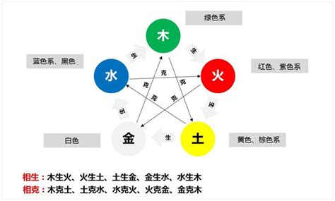 颜色五行 風水植物